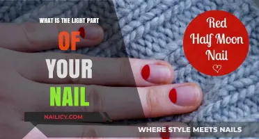 Understanding the Nail's Half-Moon: The Light Part Explained