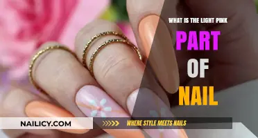 Understanding the Light Pink Part of Your Nail: A Quick Guide