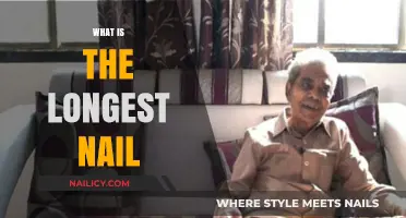 The World's Longest Nail: Unbelievable Record and Fascinating Story