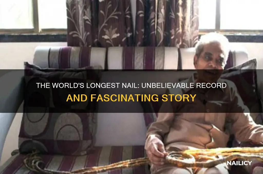 what is the longest nail