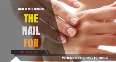 Understanding the Lunula: Nail Health and Function Explained
