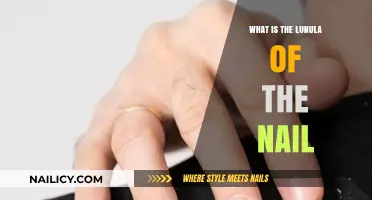 Understanding the Lunula: The Half-Moon Mystery on Your Fingernails