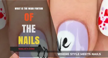 Understanding the Primary Function of Nails: More Than Just Beauty