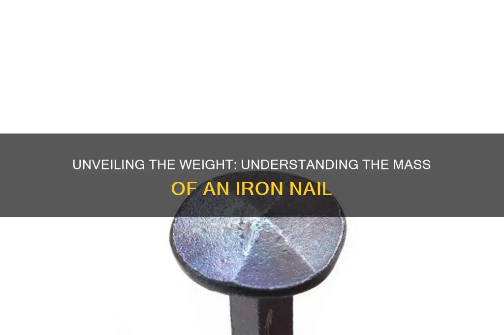 what is the mass of an iron nail