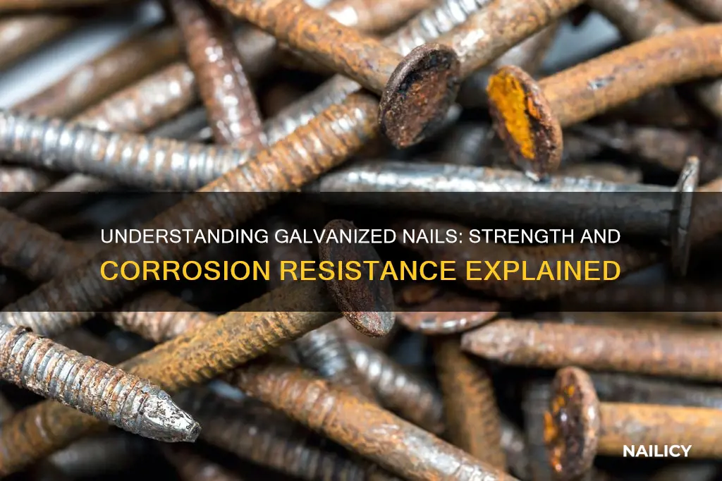 what is the meaning of a galvanized nail