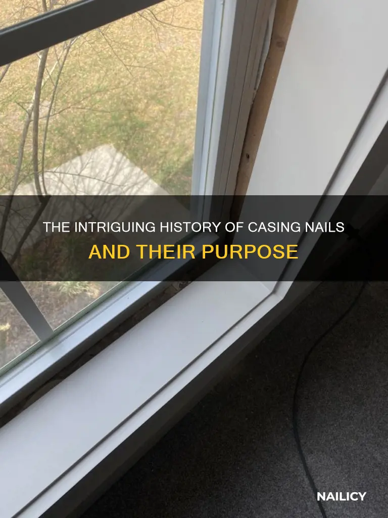 what is the meaning of casing nail