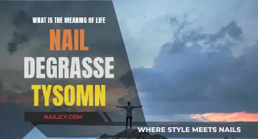 The Meaning of Life: DeGrasse Tyson's Philosophy Explored