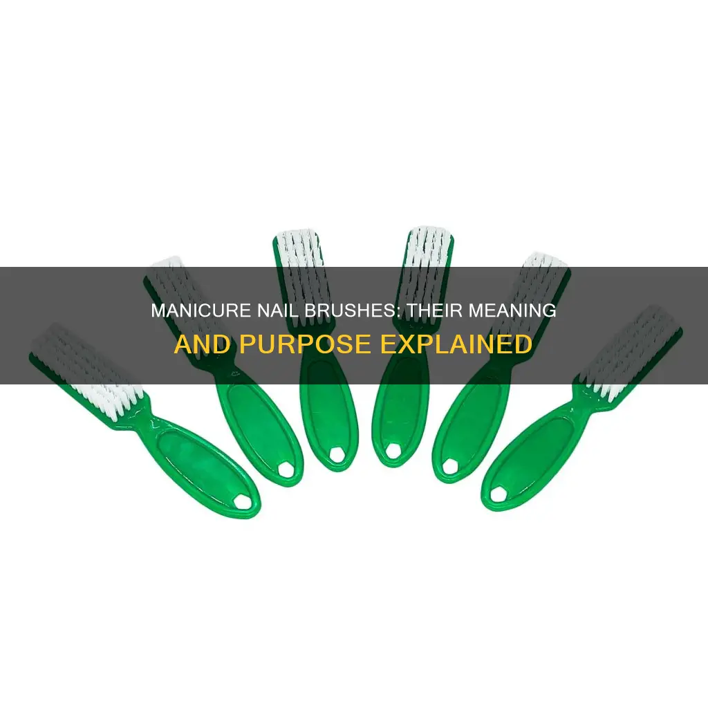 what is the meaning of manicure nail brush