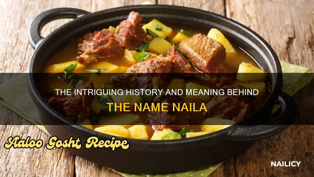 what is the meaning of my name naila