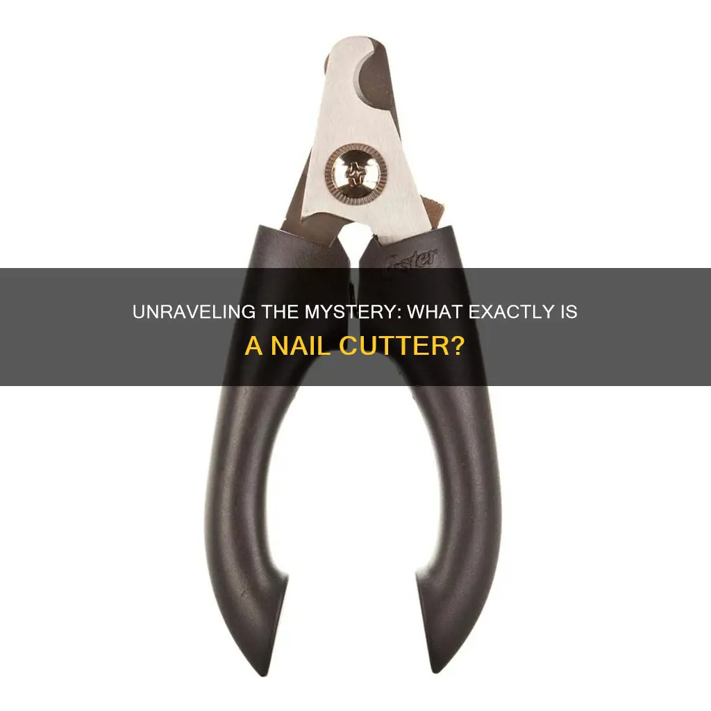 what is the meaning of nail cutter