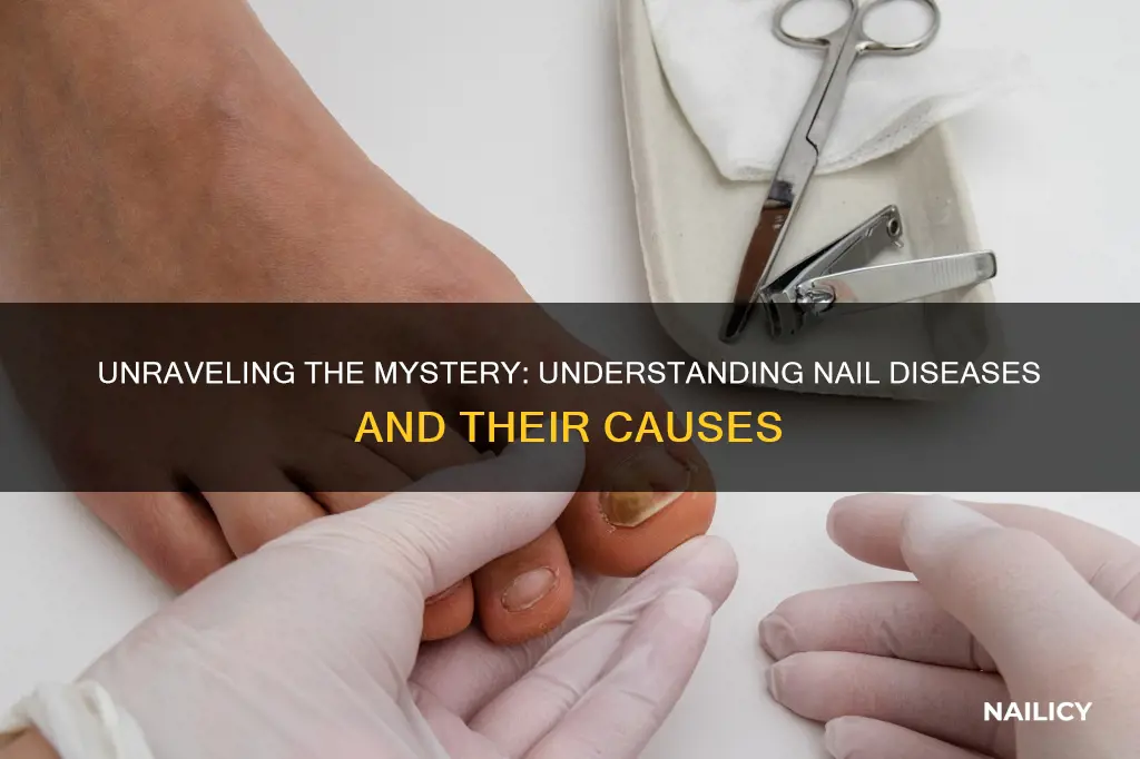 what is the meaning of nail diseases