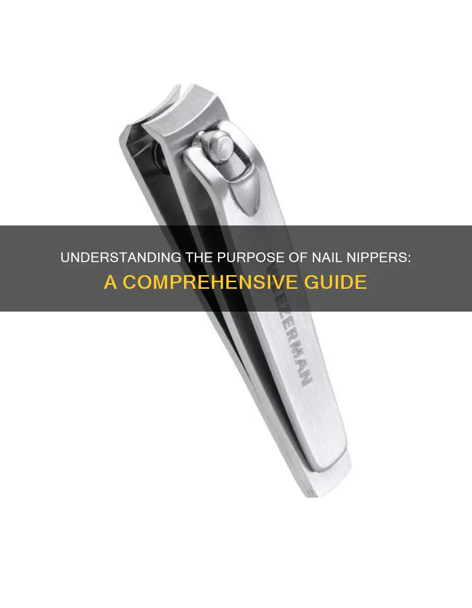 what is the meaning of nail nippers