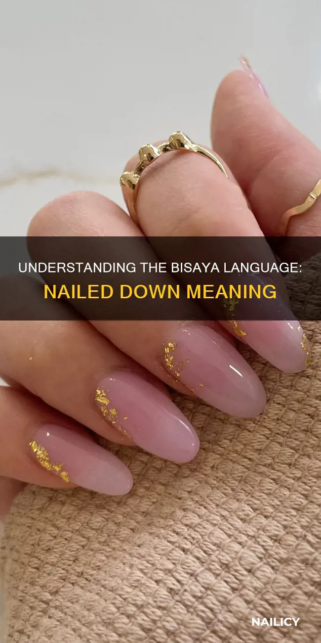 what is the meaning of nailed bisaya