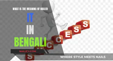 Mastering 'Nailed It': Unlocking Success in Bengali Culture