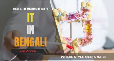 The Many Ways to Say "Nailed It" in Bengali