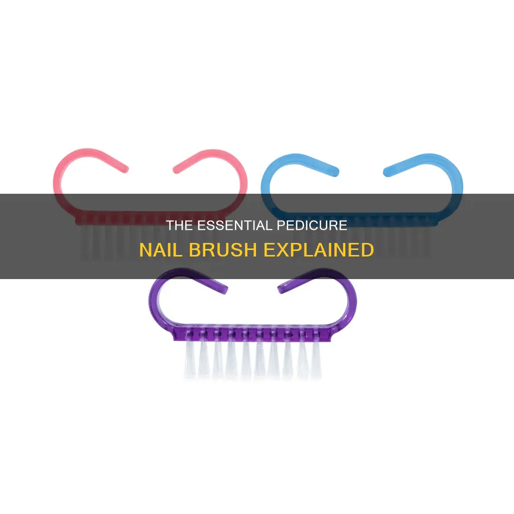 what is the meaning of pedicure nail brush