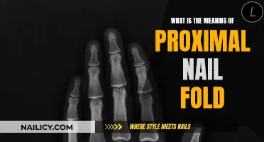 Understanding Proximal Nail Fold: Critical Anatomy Definition