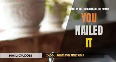 The True Meaning Behind the Phrase "You Nailed It