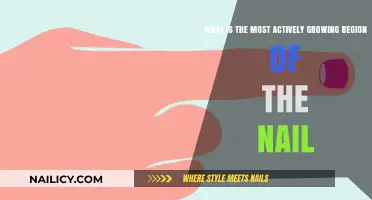 Nail Matrix: The Ever-Growing Engine of Fingernails