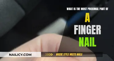 Understanding the Anatomy of Fingernails: Proximal Parts Explained