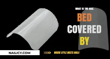 Understanding the Protective Layer Covering Your Nail Bed
