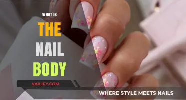 Understanding the Nail Body: Structure, Function, and Health Essentials