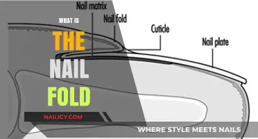 Understanding the Nail Fold: Structure, Function, and Common Issues