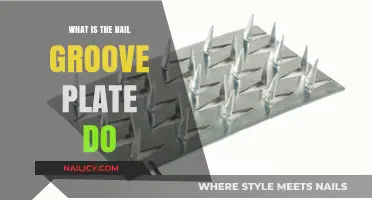 Understanding the Nail Groove Plate: Function, Importance, and Care Tips