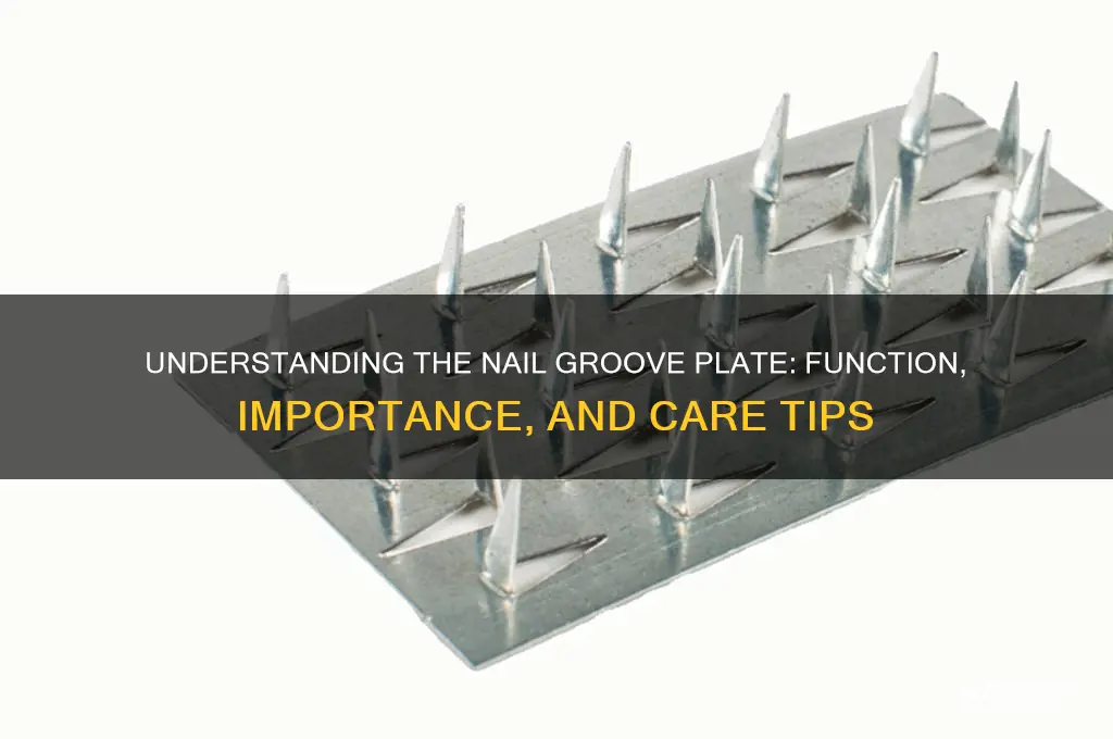 what is the nail groove plate do