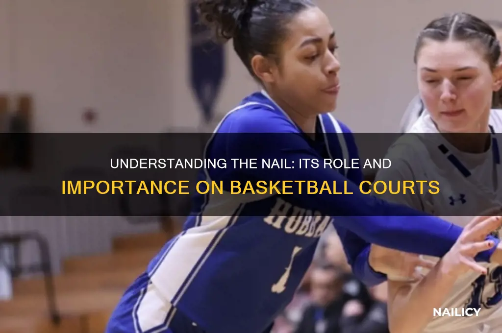 what is the nail on a basketball court