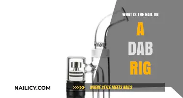 Understanding the Nail: Essential Component of a Dab Rig Explained