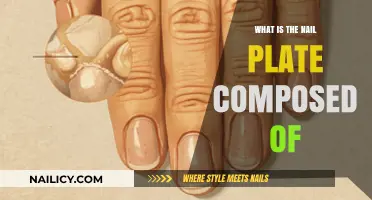 Understanding the Nail Plate: Composition, Structure, and Function Explained