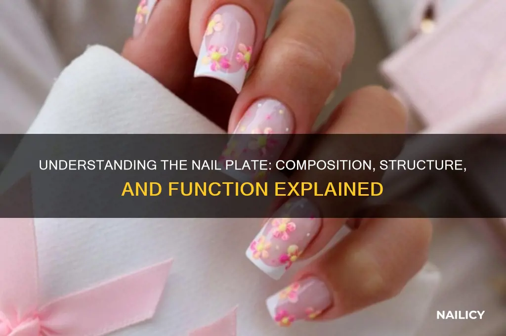 what is the nail plate made of