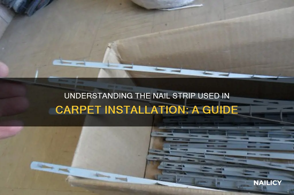 what is the nail strip called for carpeting