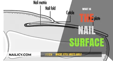 Understanding the Nail Surface: Structure, Function, and Care Essentials