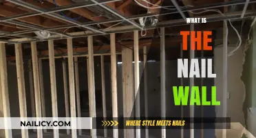Understanding the Nail Wall: Essential Basement Waterproofing Component Explained