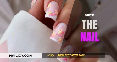Understanding the Nail: Structure, Function, and Essential Care Tips