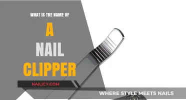 What’s the Real Name of a Nail Clipper? A Quick Guide