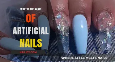 Exploring Artificial Nails: Types, Names, and Popular Styles Guide