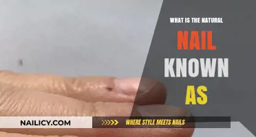 Understanding the Natural Nail: Its True Name and Essential Characteristics