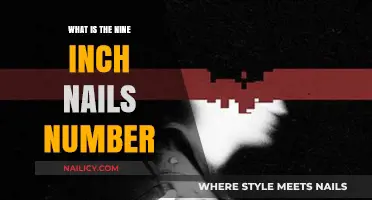 Unveiling the Mystery: Nine Inch Nails' Iconic Number Explained