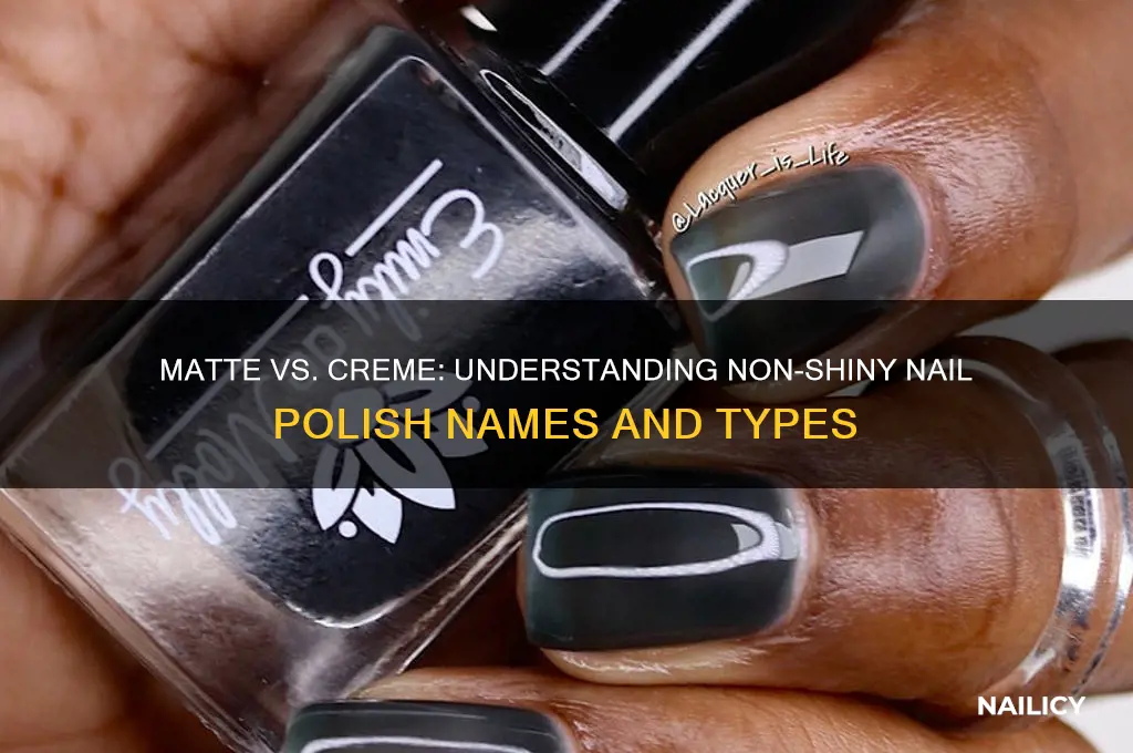 what is the non shiny nail polish called