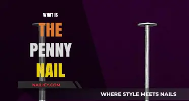 Understanding the Penny Nail: History, Uses, and Modern Applications
