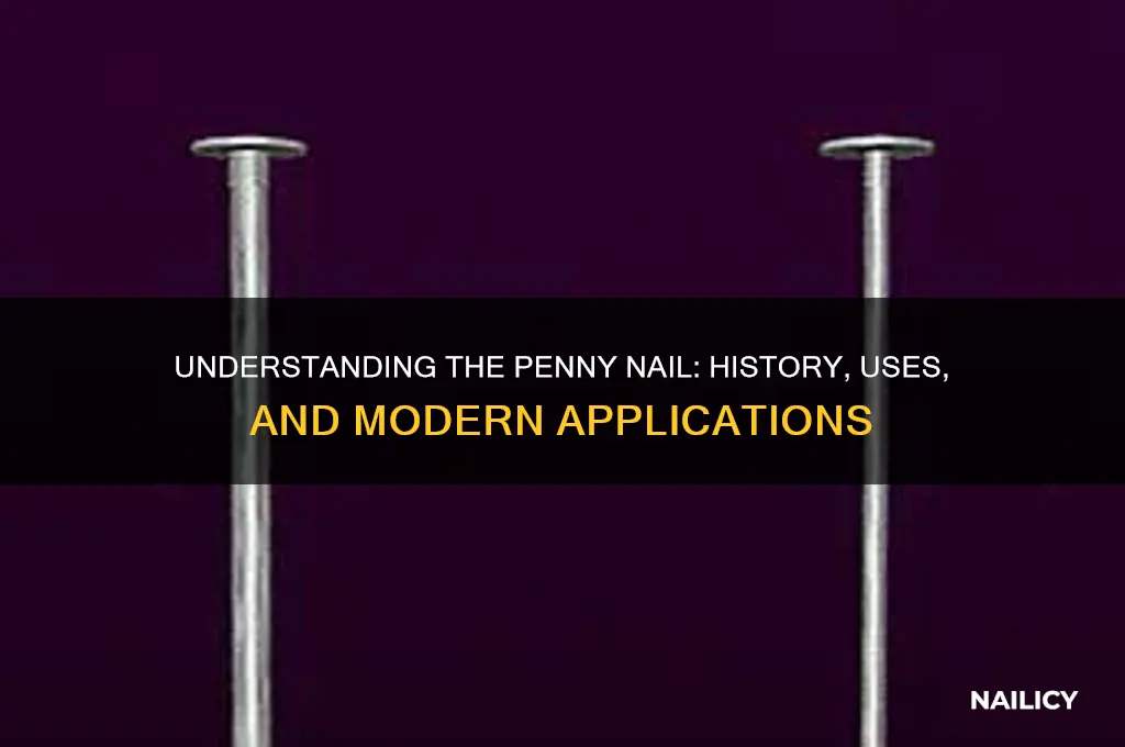 what is the penny nail