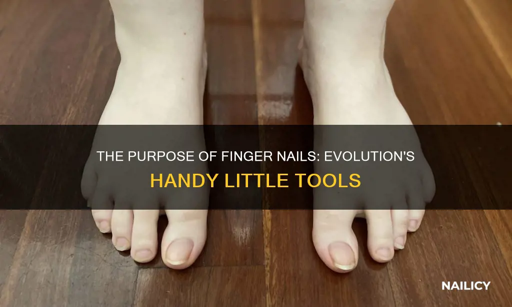 what is the point of finger nails