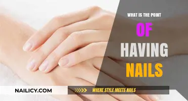 Why Do We Have Nails? Exploring Their Surprising Purpose and Benefits