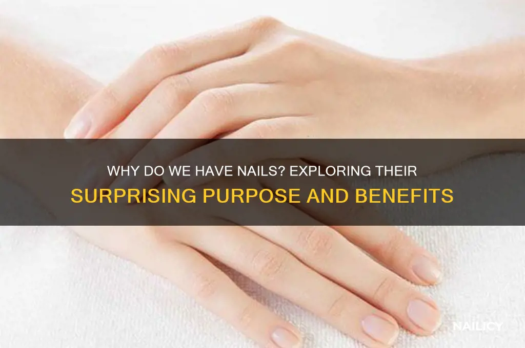 what is the point of having nails