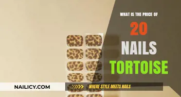 20 Nails Tortoise Price: Understanding the Cost of This Unique Pet