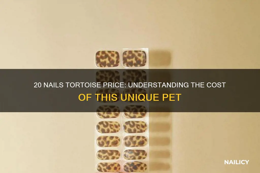 what is the price of 20 nails tortoise
