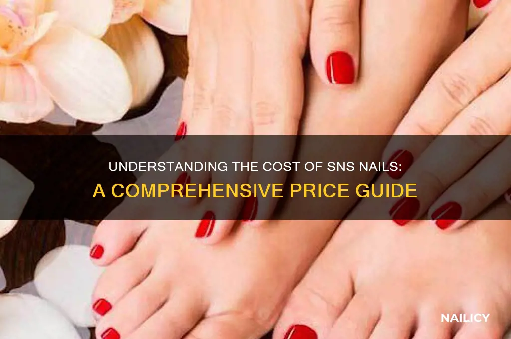 what is the price of sns nails